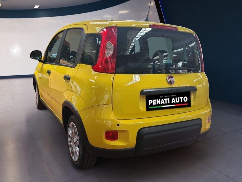 FIAT Panda 1.0 FireFly S&S Hybrid CON ROTTAMAZIONE EURO 2 !!