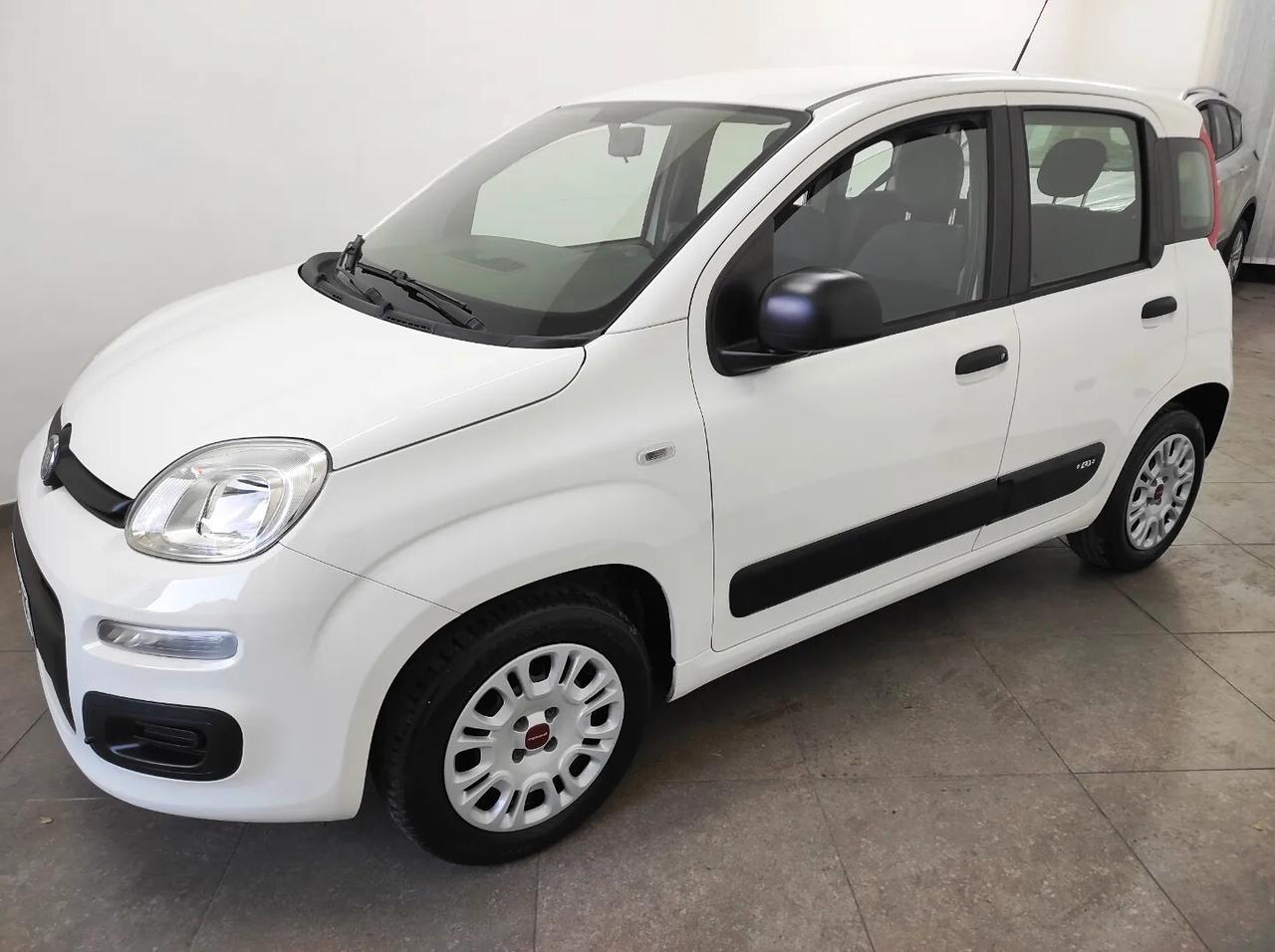 Fiat Panda 1.2 69cv 2017 garanzia