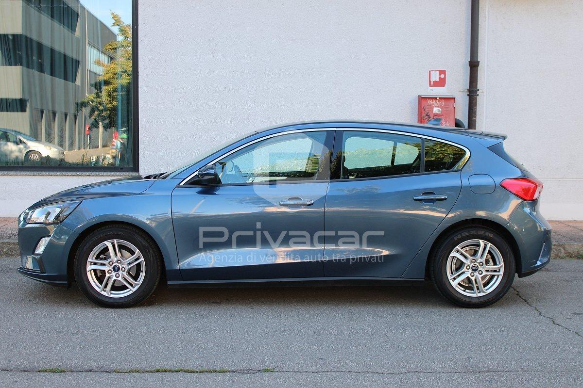 FORD Focus 1.5 EcoBlue 95 CV 5p. Business