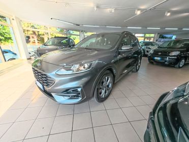 Ford Kuga 2.5 Full Hybrid 190 CV CVT 2WD ST-Line