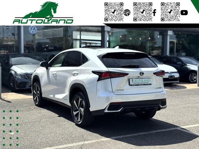 LEXUS NX 300 Hybrid 4WD Executive 155 CV