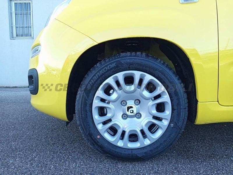FIAT Pandina Pandina 1.0 65cv Hybrid Icon
