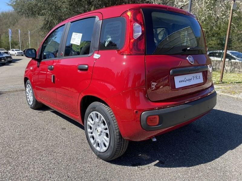 FIAT Pandina PANDA MY26 1.0 65CV HYBRID ICON