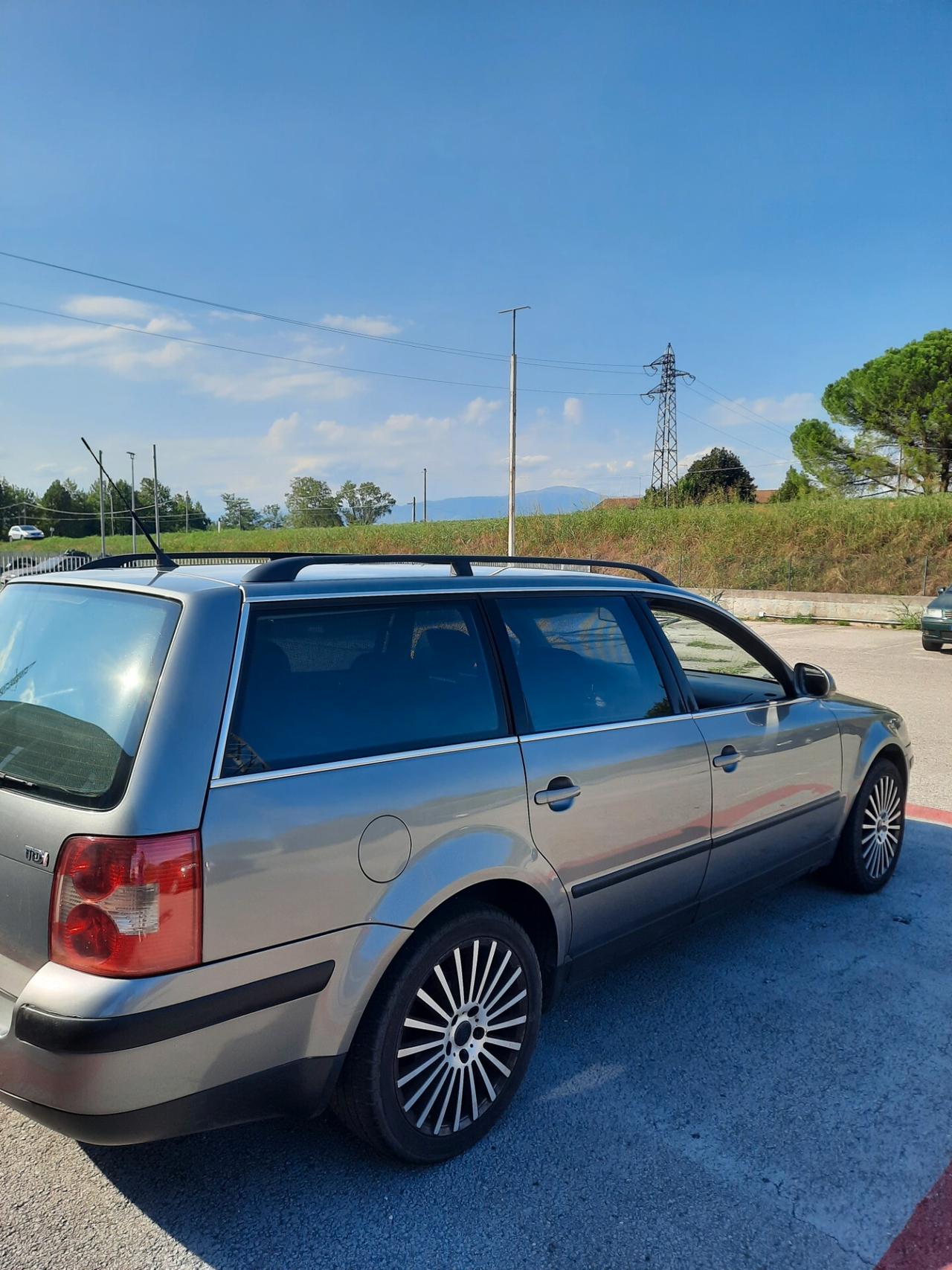 Volkswagen Passat 1.9 TDI/101 CV Var. Business