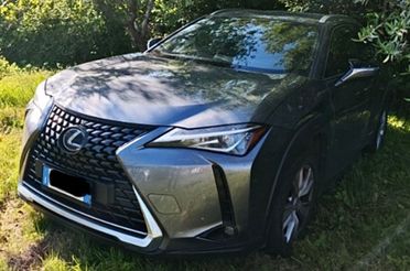 Lexus UX 250h business