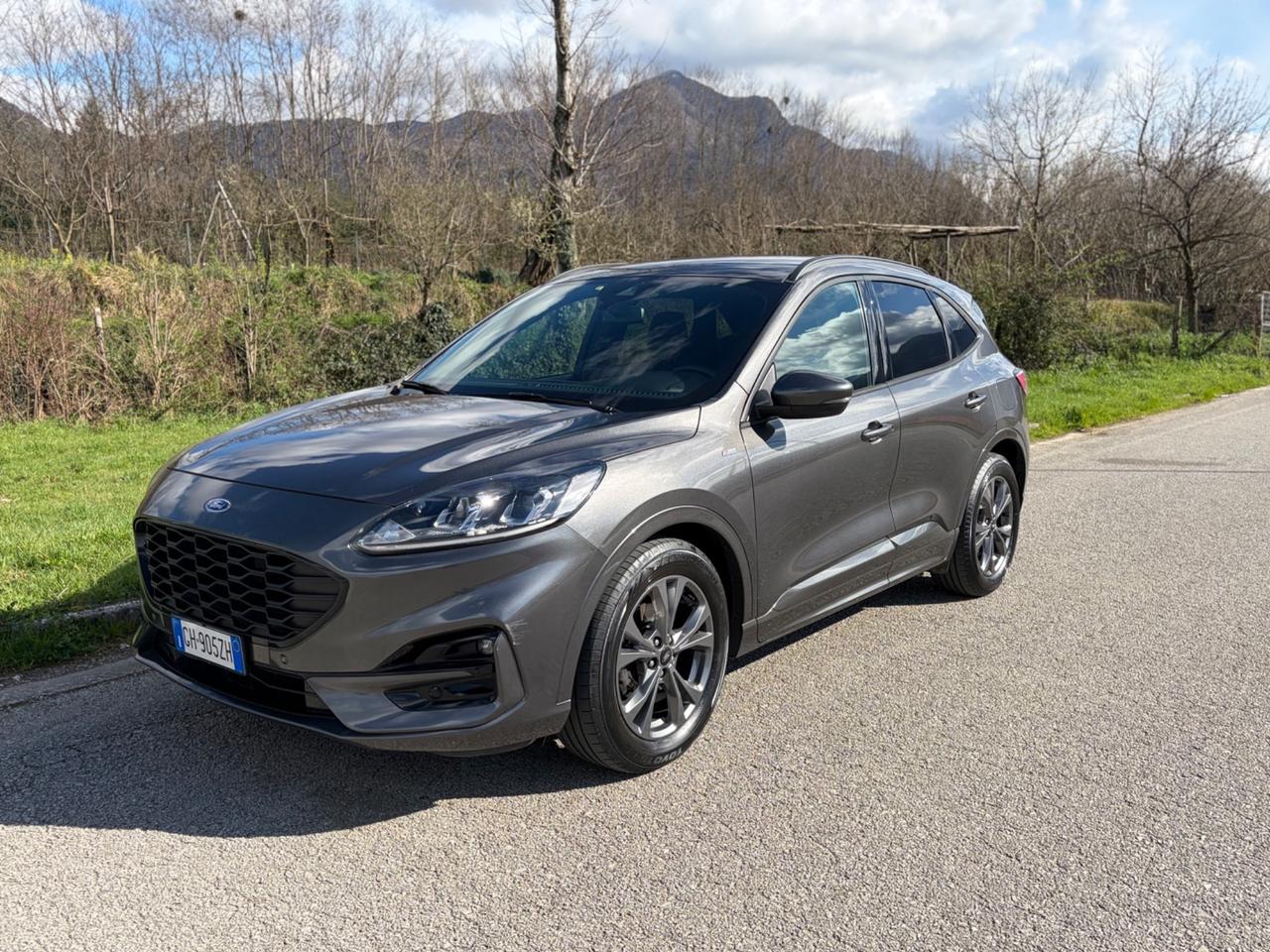 Ford Kuga 1.5 EcoBlue 120 CV aut. 2WD ST-Line X