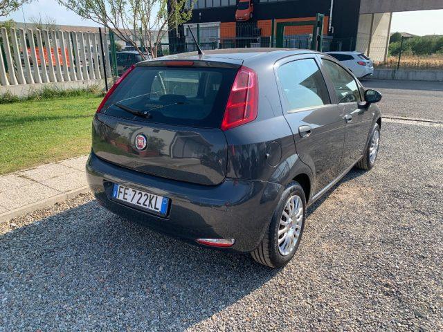 FIAT Punto 1.2 8V 5 porte Young
