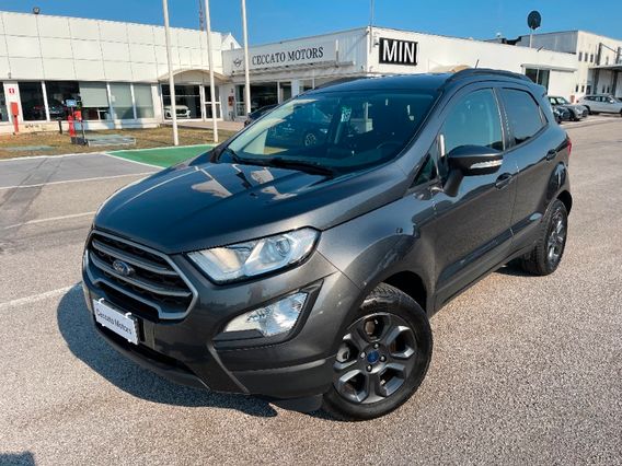 FORD ANDERE EcoSport 1.0 EcoBoost 100 CV Business
