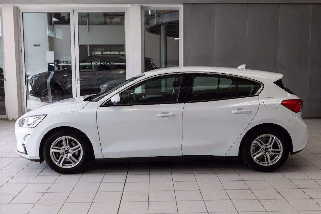 FORD Focus 5p 1.0 ecoboost Titanium Business s&s 125cv del 2018