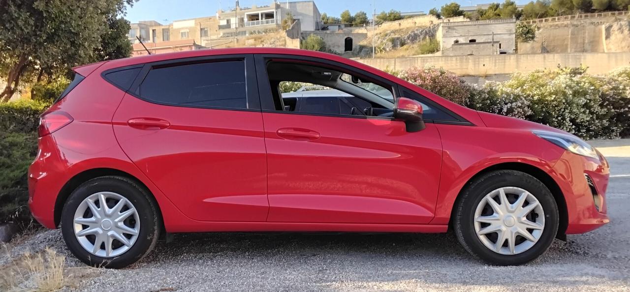 Ford Fiesta 1.1 75 CV 5 porte Connect