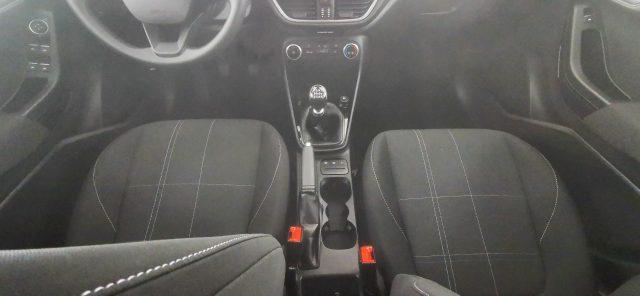 FORD Fiesta 1.5 EcoBlue 5 porte Connect