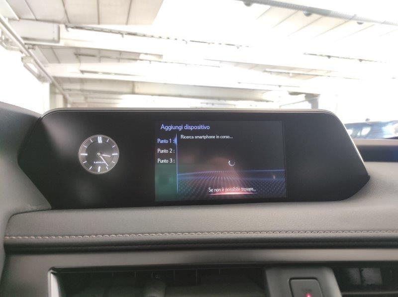 LEXUS UX - UX Hybrid Business