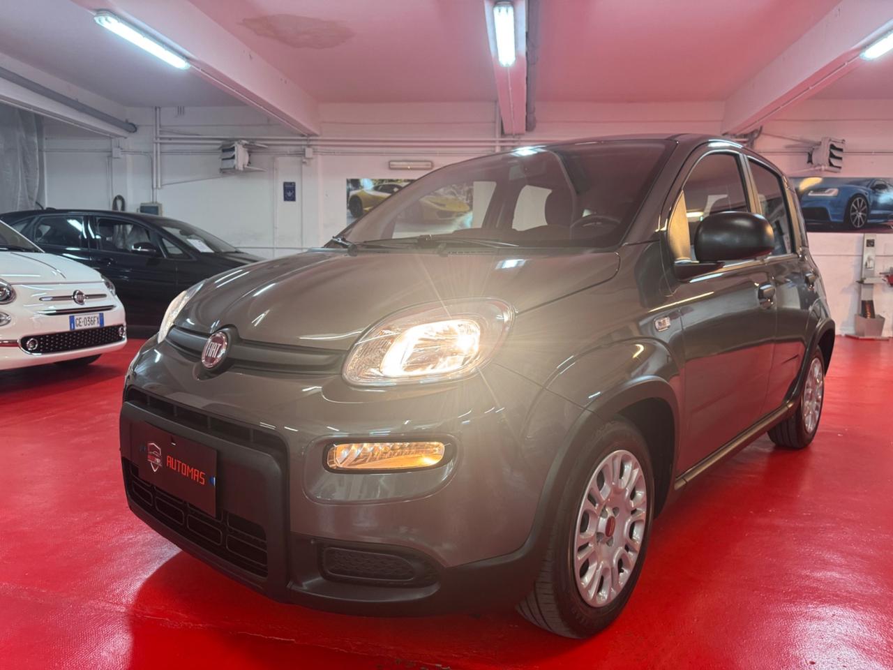 Fiat Panda 1.0 FireFly S&S Hybrid con soli 25000km