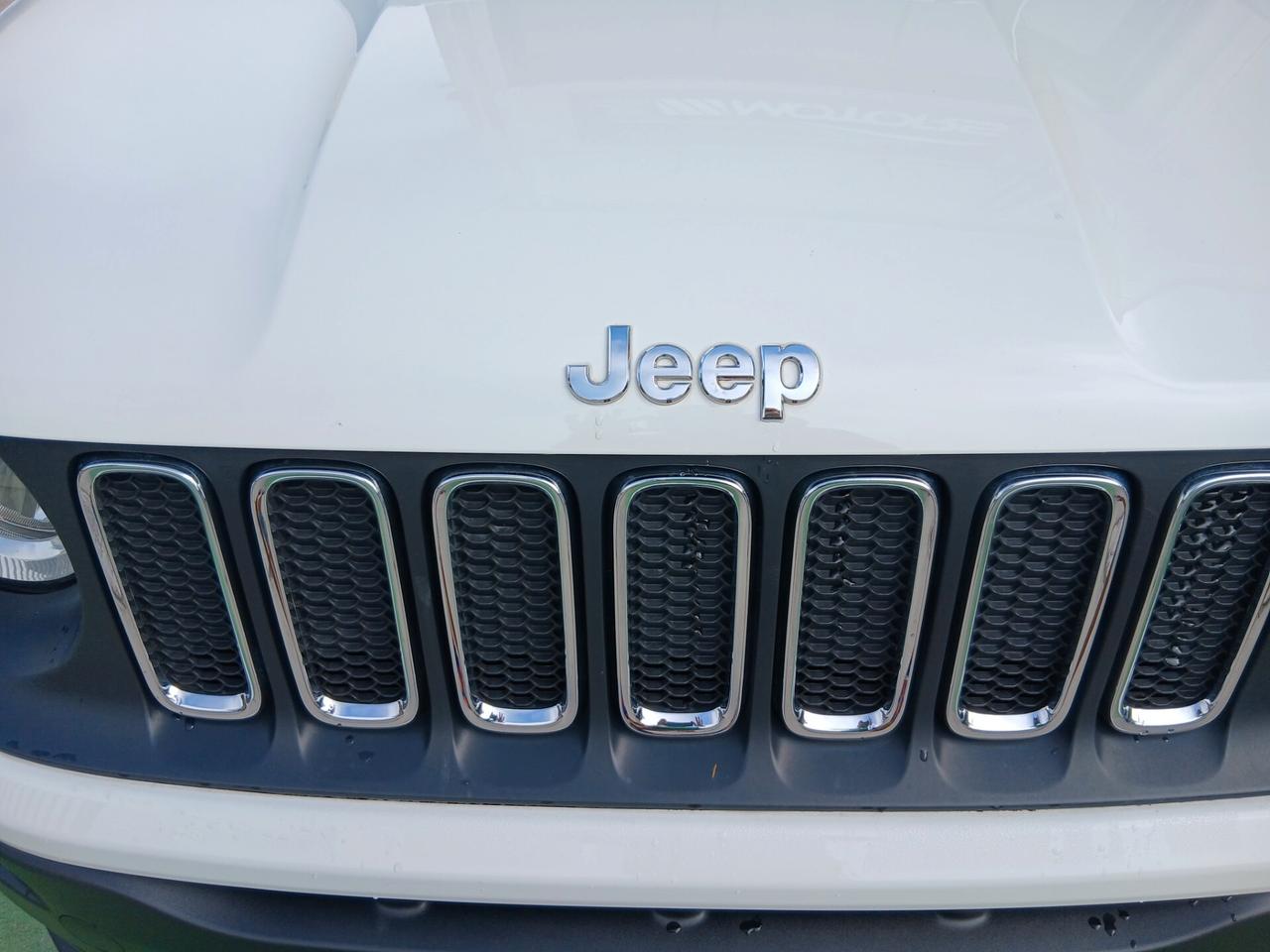 Jeep Renegade 1.6 E-TorQ EVO Sport