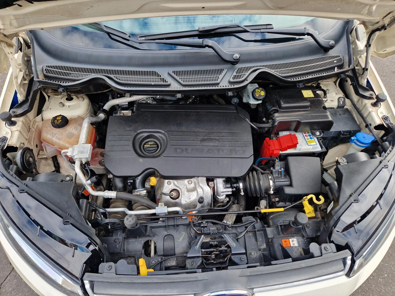 Ford EcoSport 1.5 TDCi 95 CV Titanium