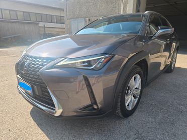 Lexus UX UX Hybrid Business