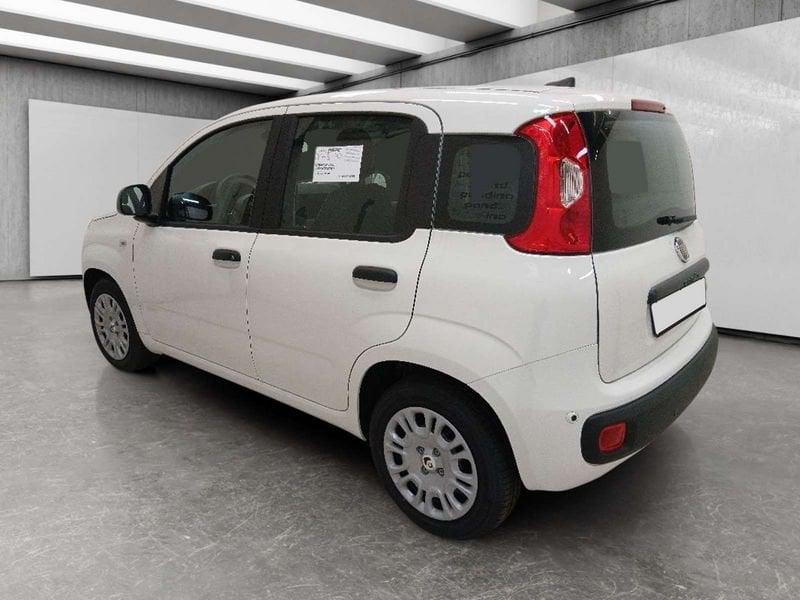 FIAT Pandina 1.0 firefly hybrid Icon s&s 70cv 5p.ti