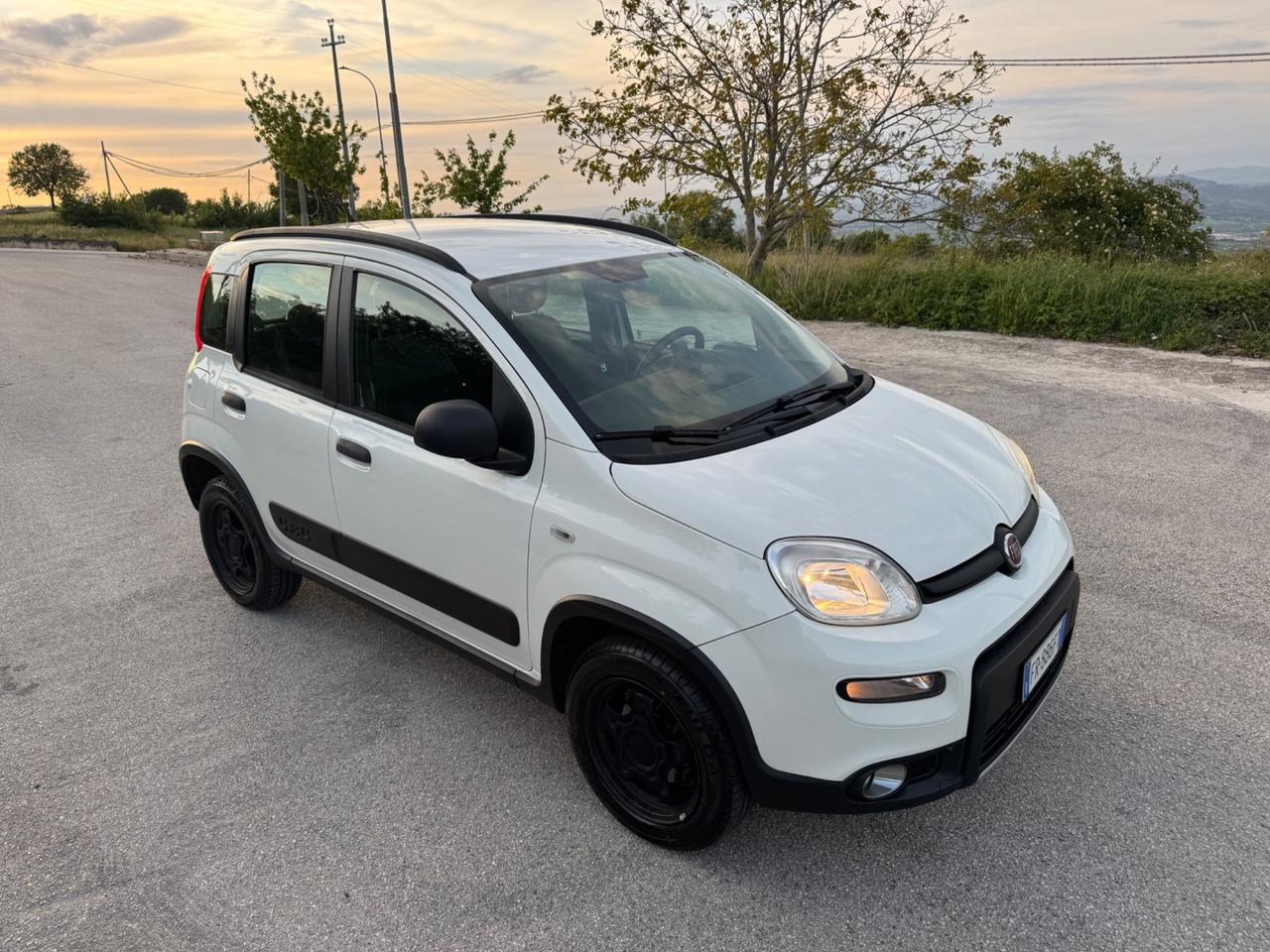 Fiat Panda 1.3 MJT 95 CV S&S 4x4