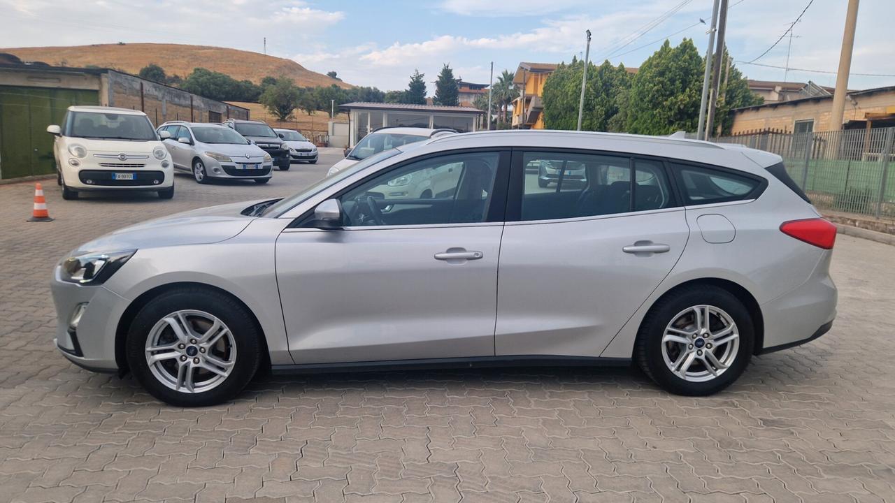 Ford Focus 1.5 EcoBlue 120 CV SW Business