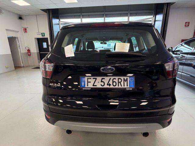 FORD Kuga Kuga II 2019 2.0 tdci Business s automatico