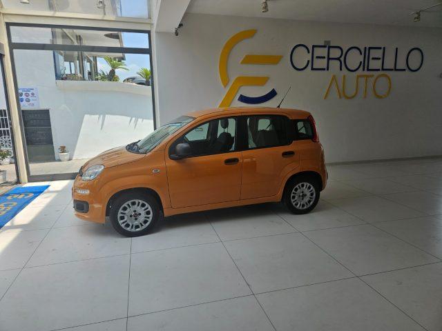 FIAT Panda 1.2 EasyPower GPL tua da ?99,00 MENSILI