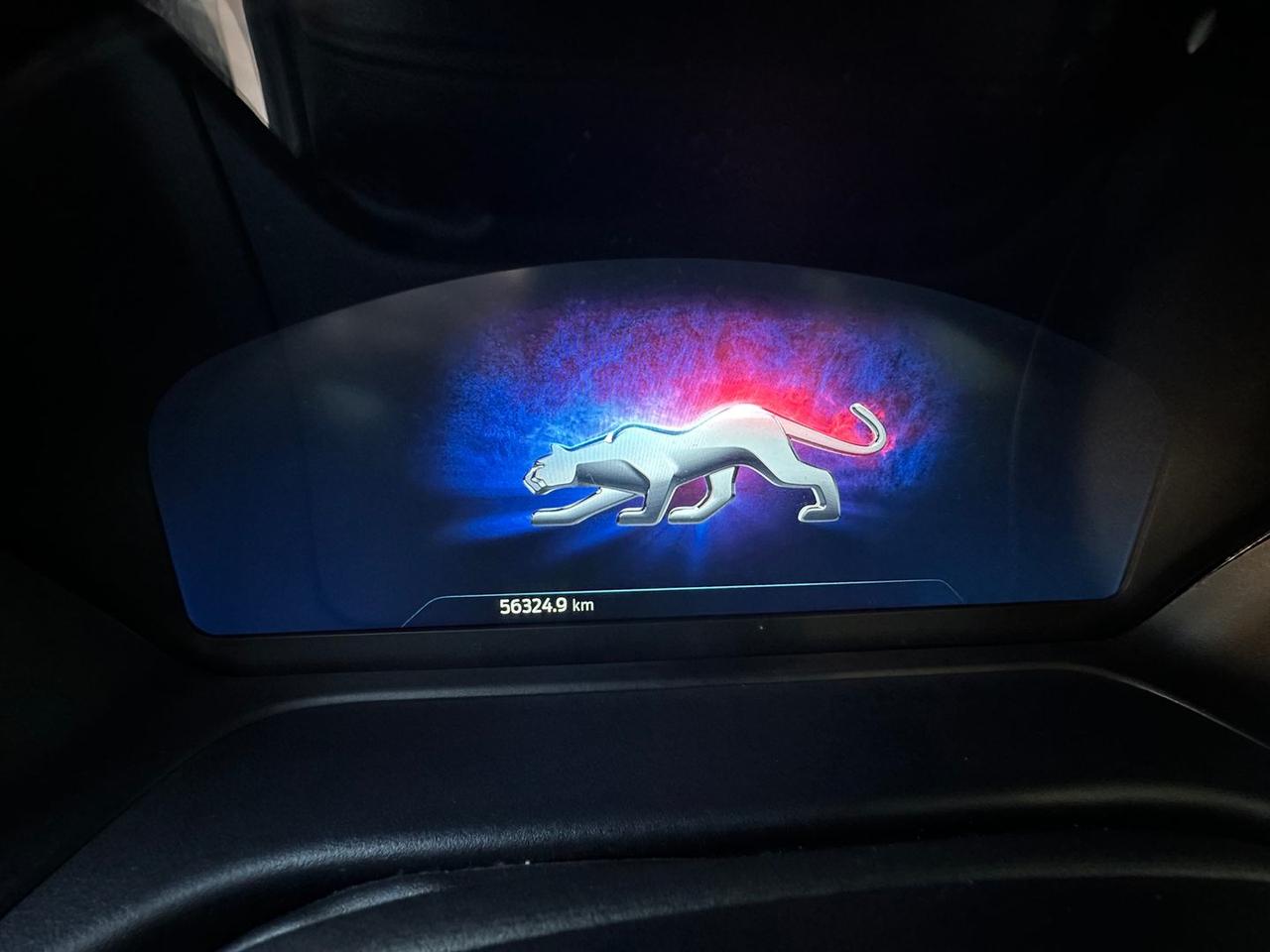 Ford Puma ST Line 1.0 EcoBoost mHEV #7700