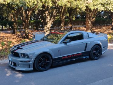 Mustang Usa