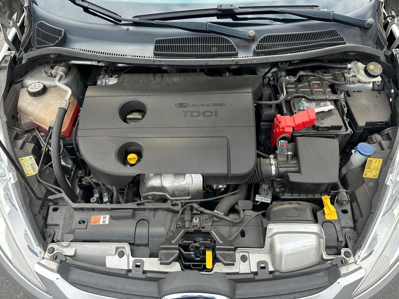 Ford Fiesta 1.4 TDCi 5p. Titanium