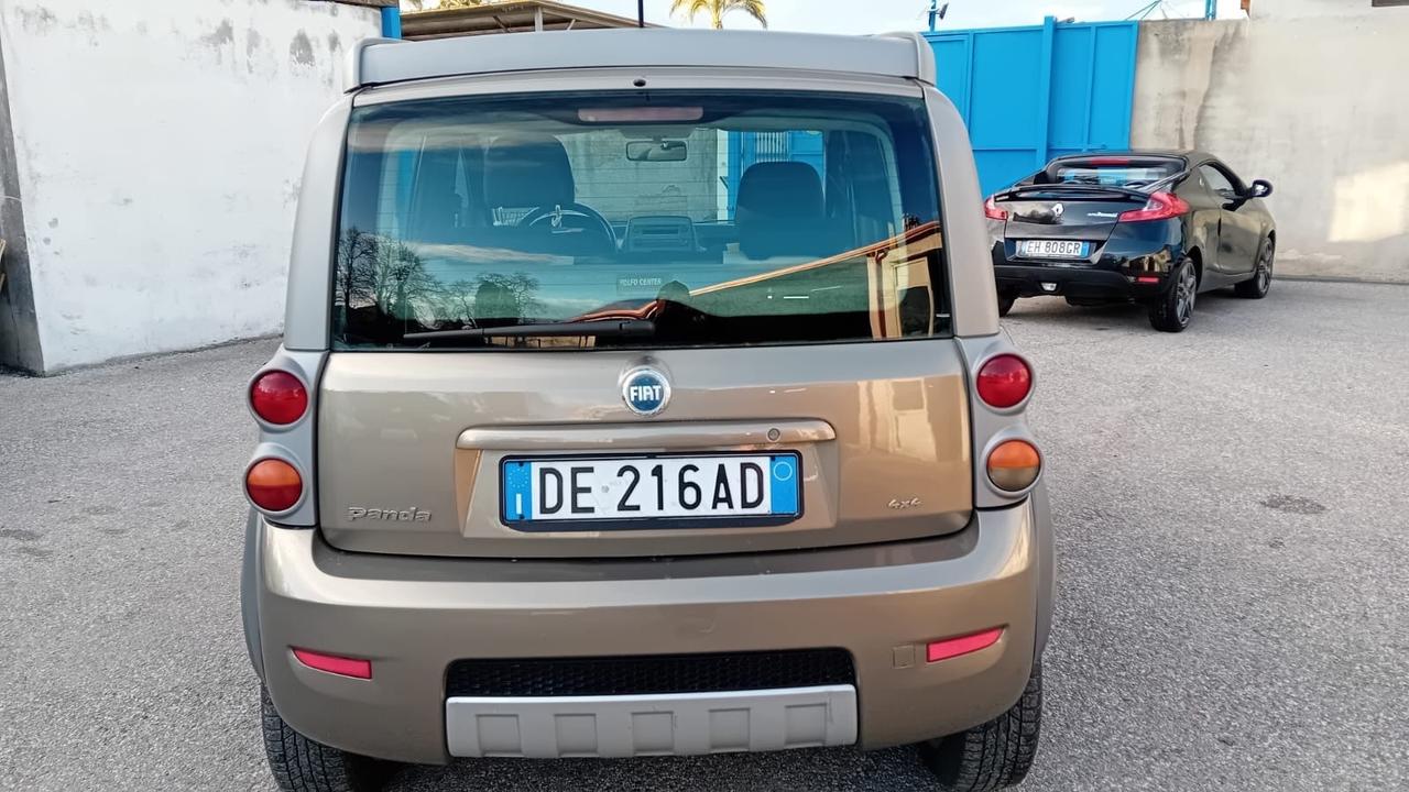 Fiat Panda cross 4 × 4-1.3 mjt-2007
