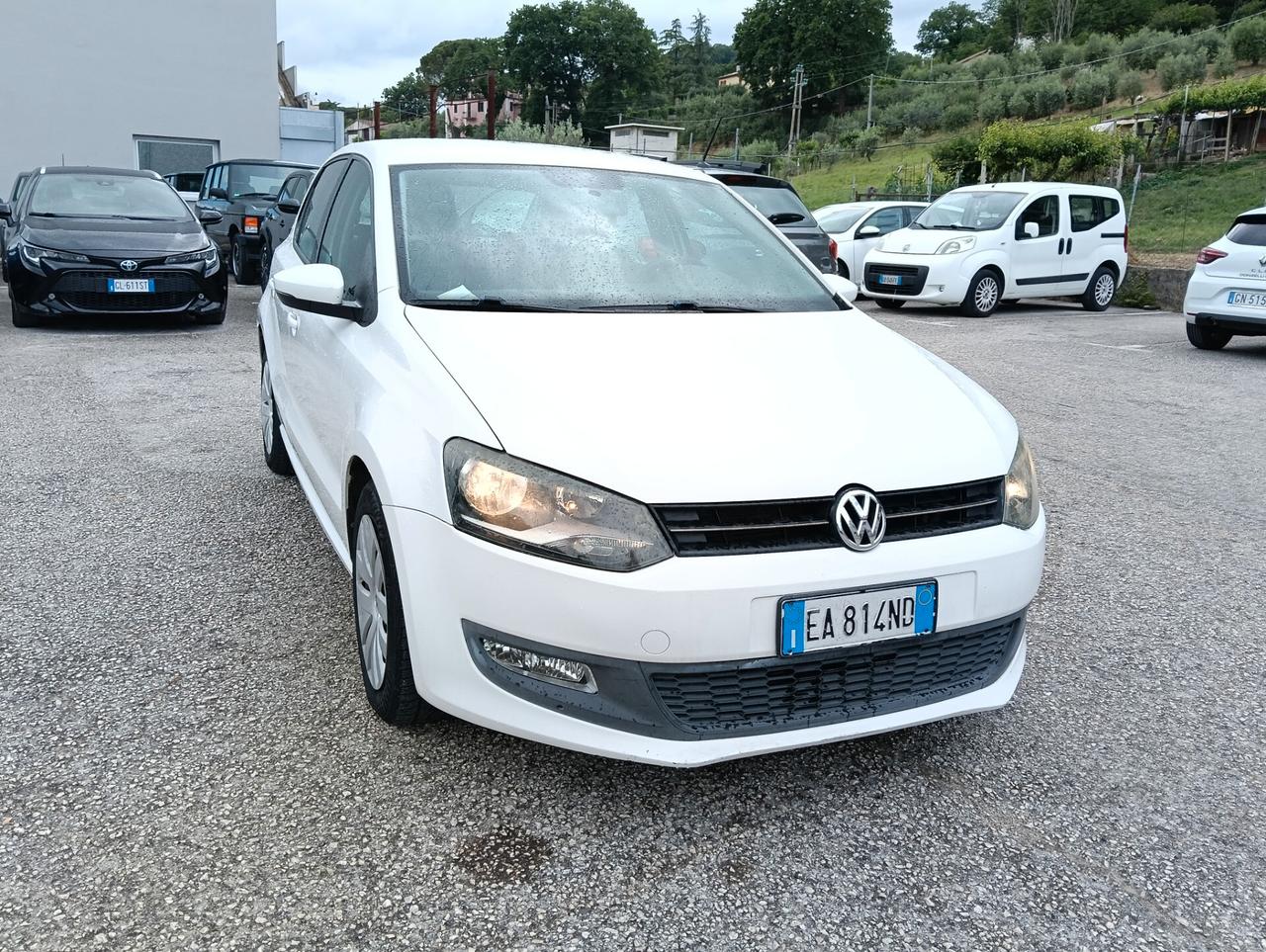 Volkswagen Polo 1.6 TDI DPF 5 porte Trendline