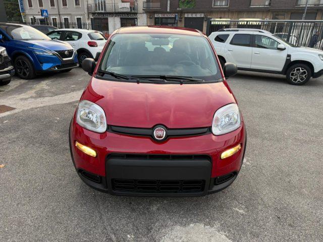 FIAT Panda 1.0 FireFly S&S Hybrid con Pack Comfort