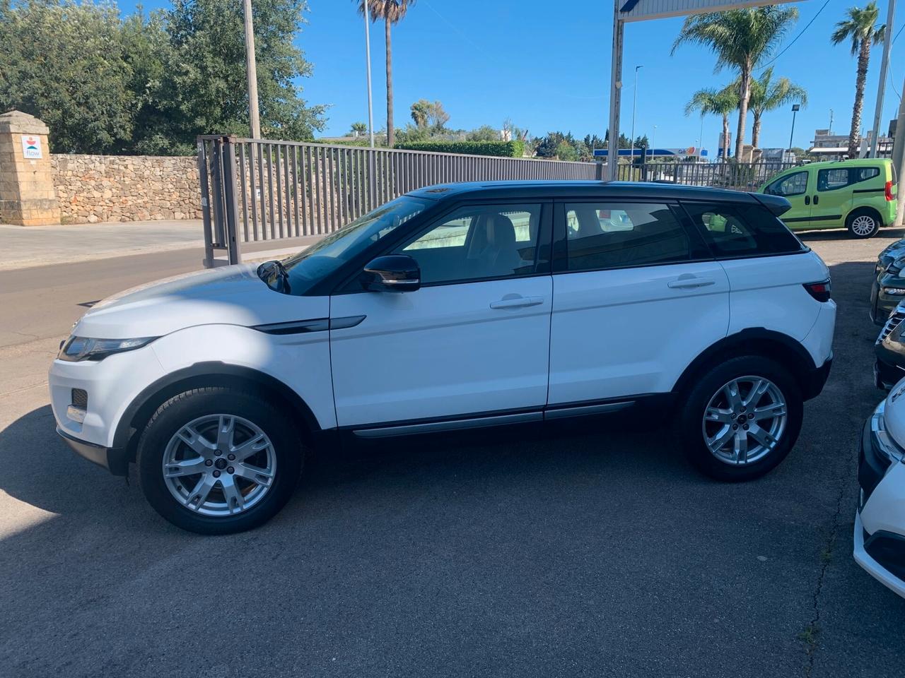 Land Rover Range Evoque 2.2 td4 Dynamic 150cv Automatic 5p