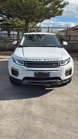 Land Rover Range Rover Evoque Range Rover Evoque 2.0 TD4 150 CV 5p. Pure