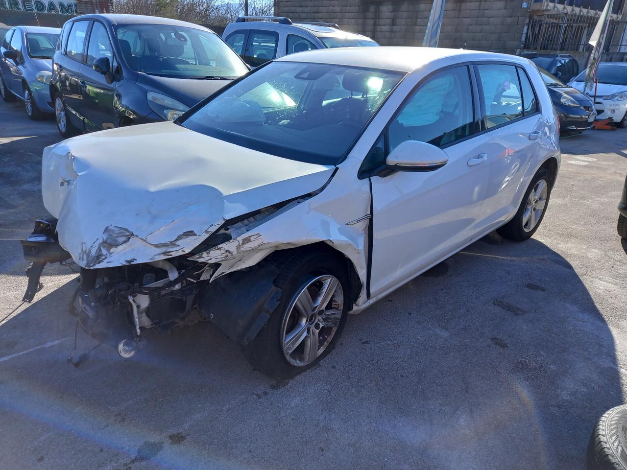 Volkswagen Golf 1.4 TGI 5p. Trendline BlueMotion