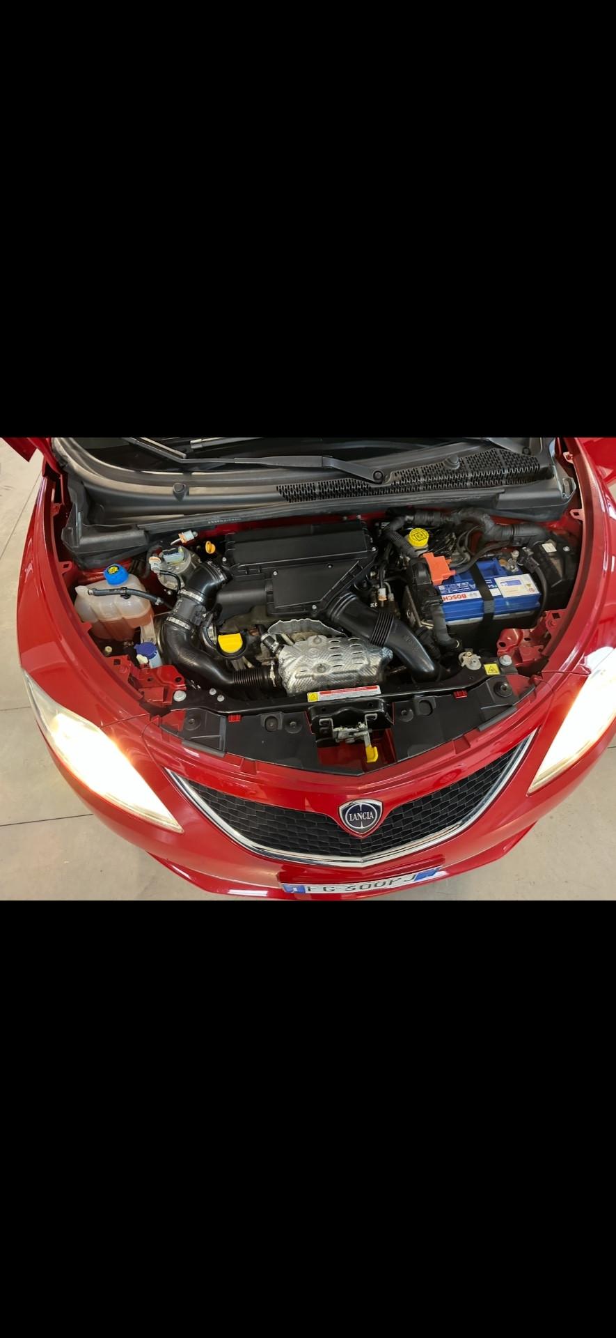 Lancia Ypsilon 1.3 MJT 16V 80 CV 5 porte S&S Platinum