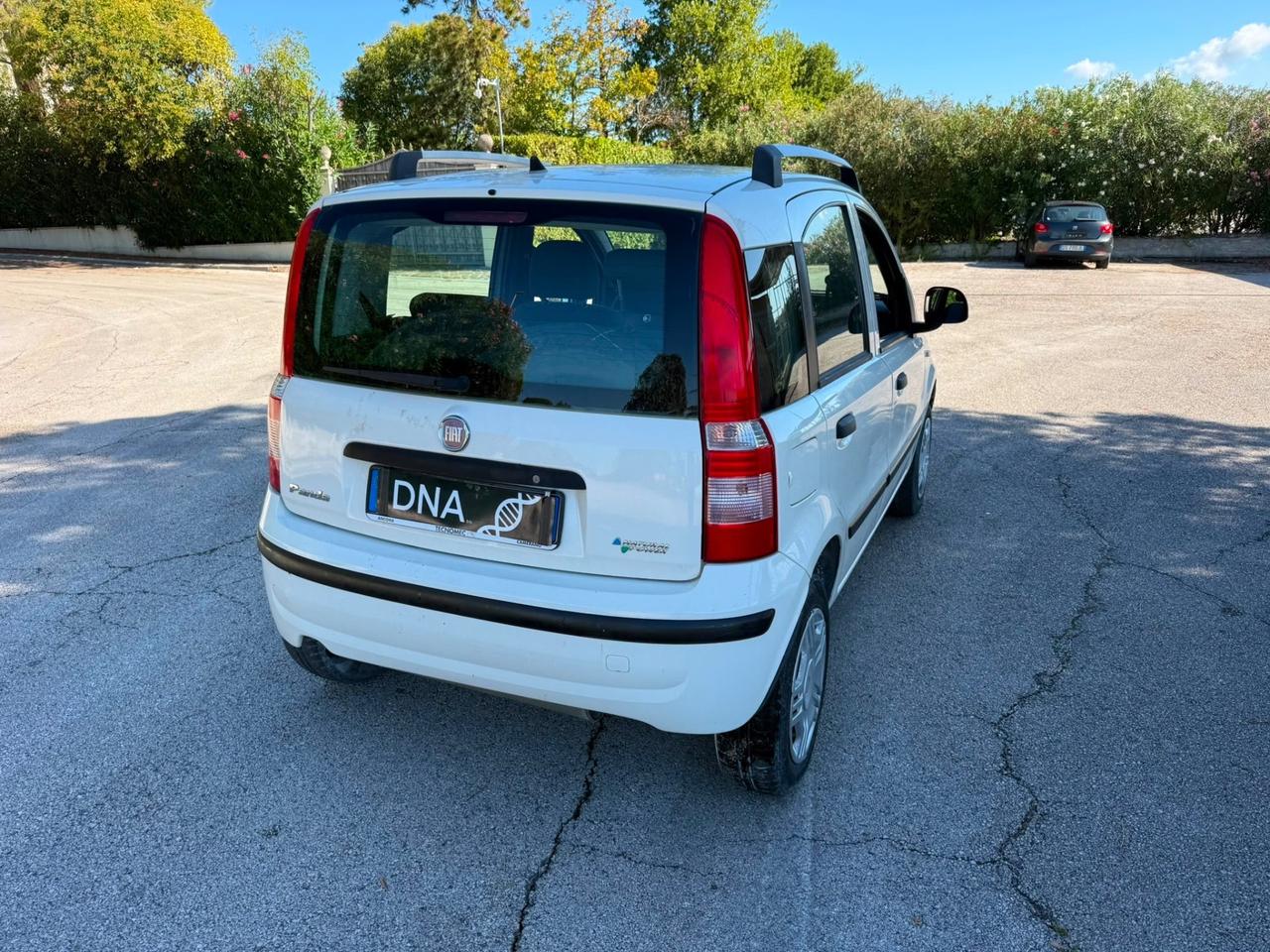 Fiat Panda 1.2 Natural Power Benzina metano Neopatentati