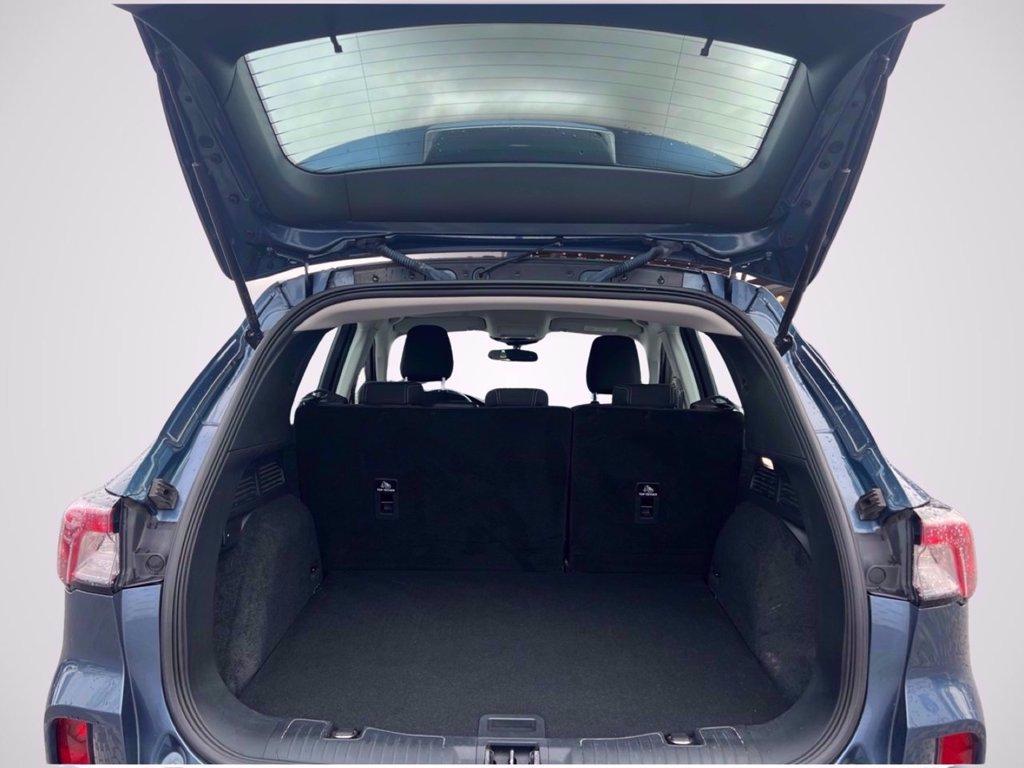 FORD Kuga 1.5 ecoblue Connect 2wd 120cv del 2021