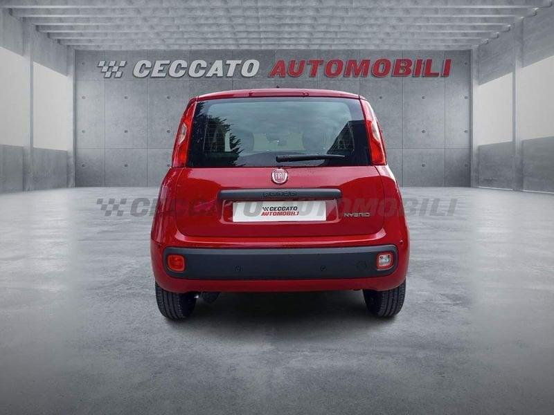 FIAT Panda Panda 1.0 firefly hybrid s&s 70cv