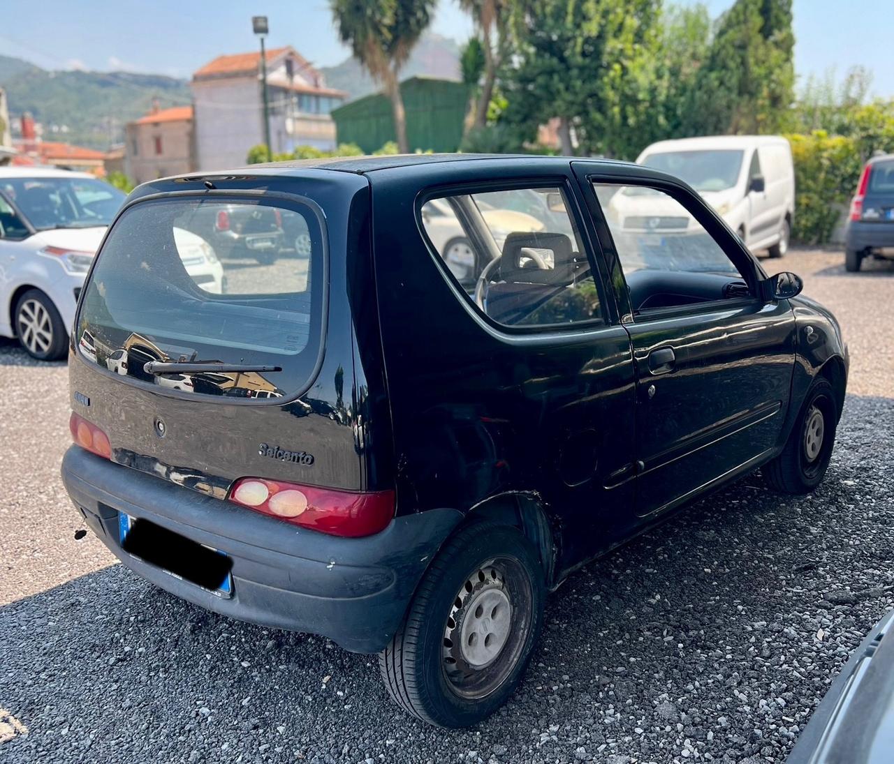 Fiat Seicento 900i cat Young