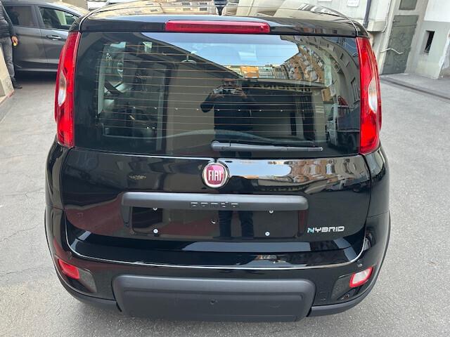 Fiat Panda 1.0 FireFly S&S Hybrid (PREZZO REALE)