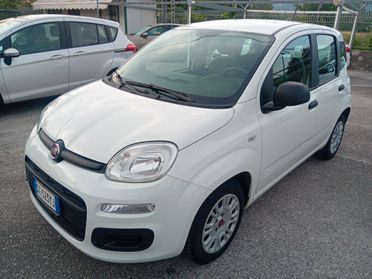 Fiat Panda 1.0 FireFly S&S Hybrid 70 cv