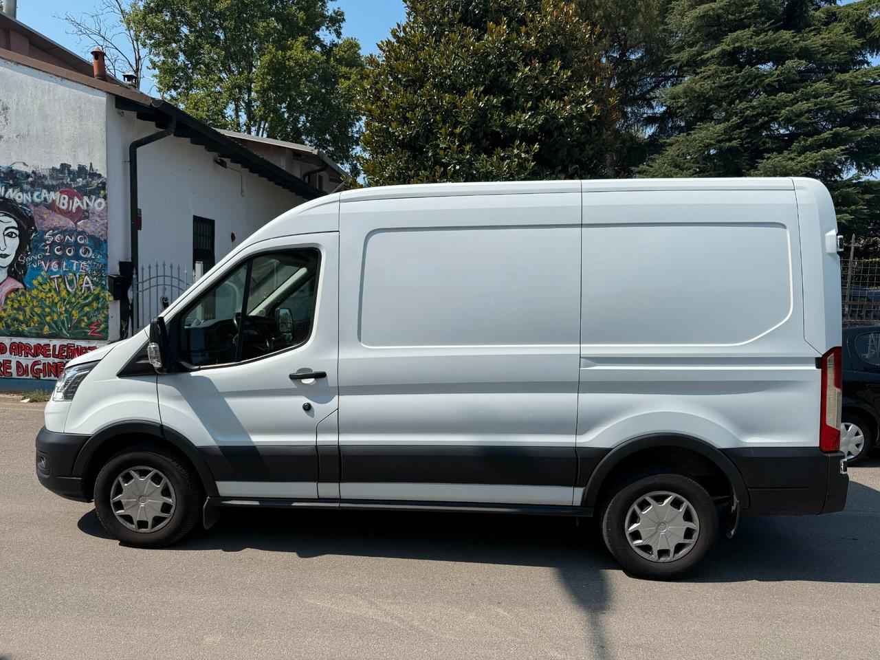 Ford Transit 330 2.0TDCi EcoBlue MHEV 130CV PM-TM Furgone Trend