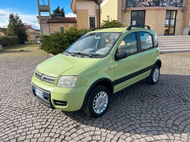 Fiat Panda 1.2 Benzina 4x4 Climbing