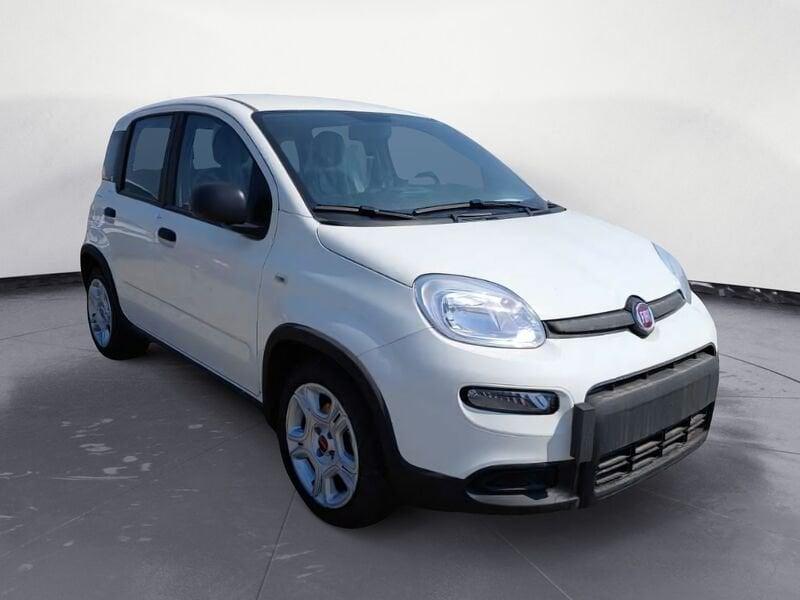 FIAT Panda NEW My23 1.0 70cv Hybrid Panda