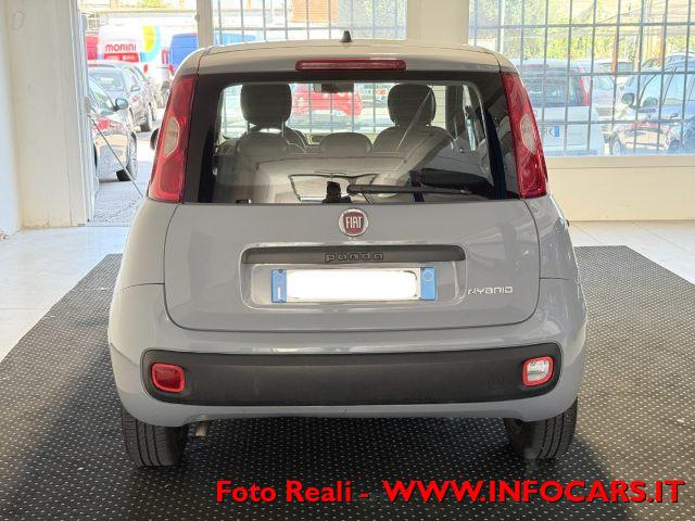 FIAT Panda Hybrid 1.0 FireFly 70 cv - PROMO