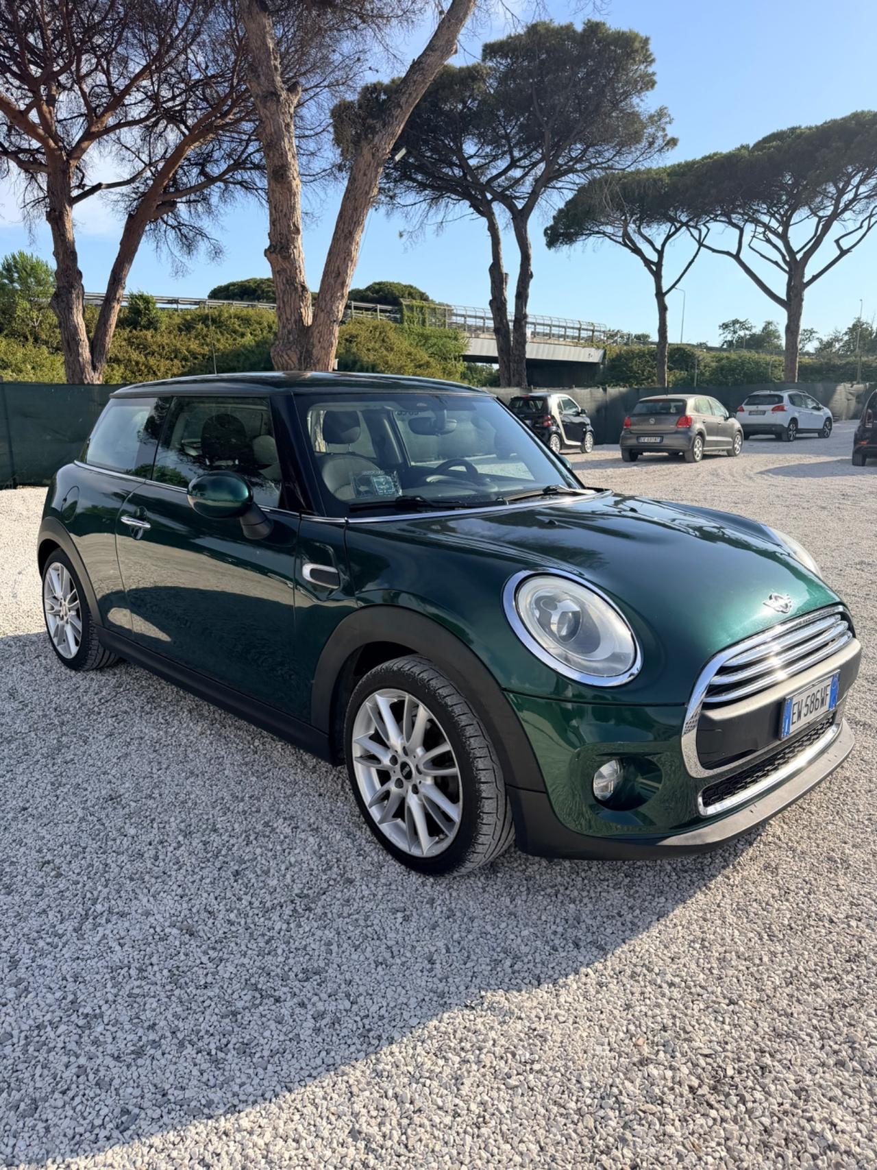Mini 1.5 One D