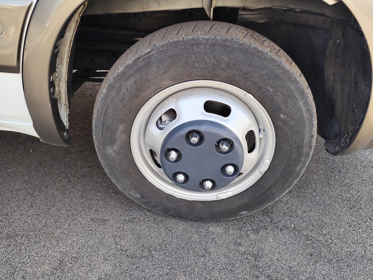 Iveco Trasporto cavalli 35c14