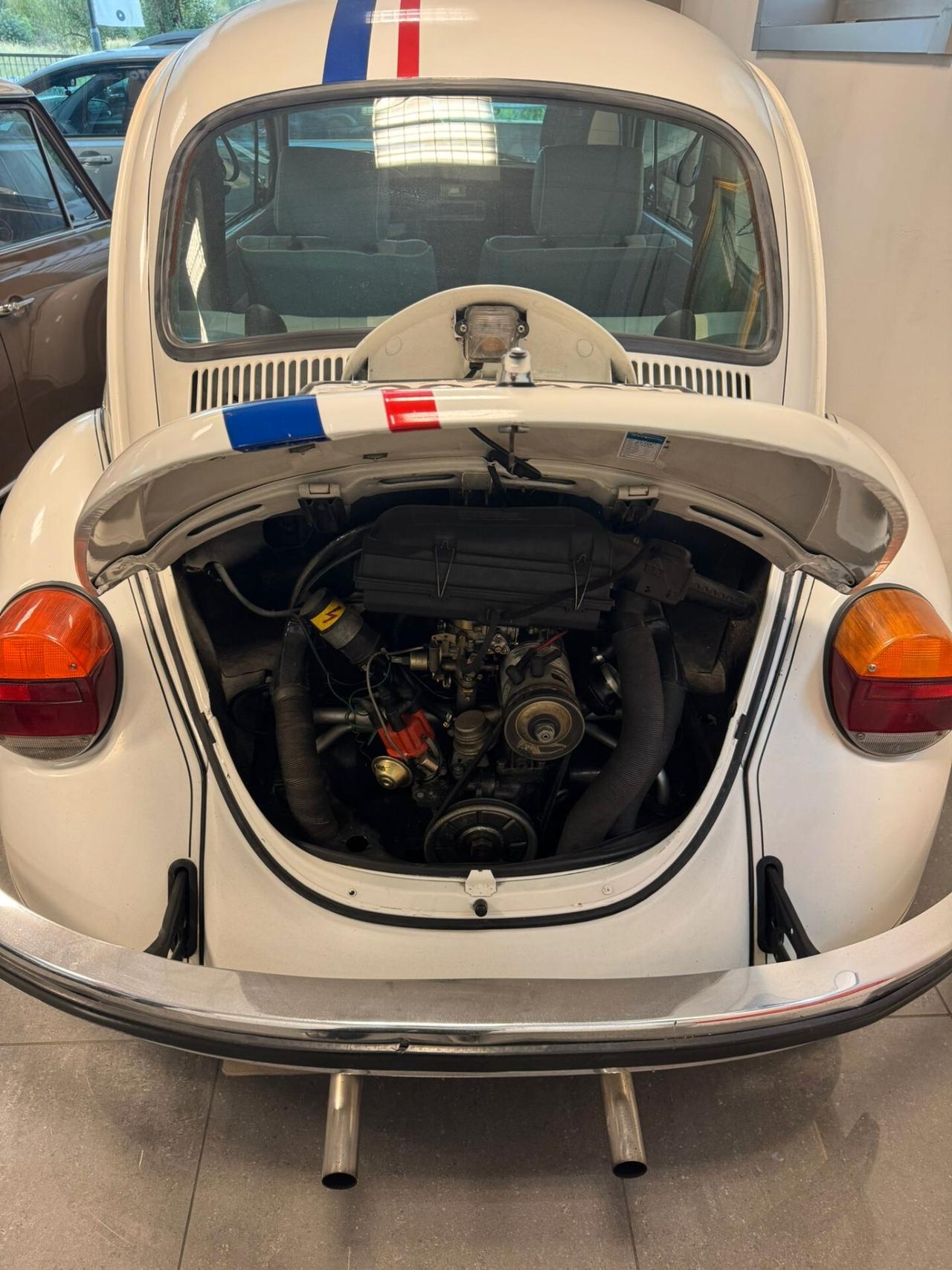 Volkswagen Maggiolino