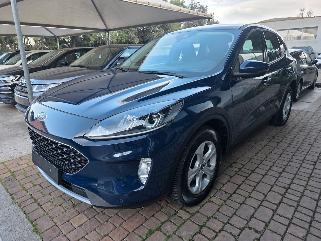 Ford Kuga 1.5 EcoBlue 120 CV 2WD Connect