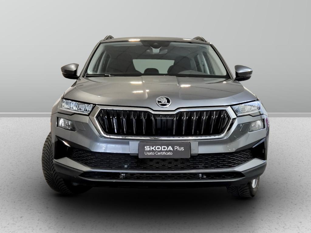 Skoda Karoq 2.0 tdi evo Executive 115cv dsg